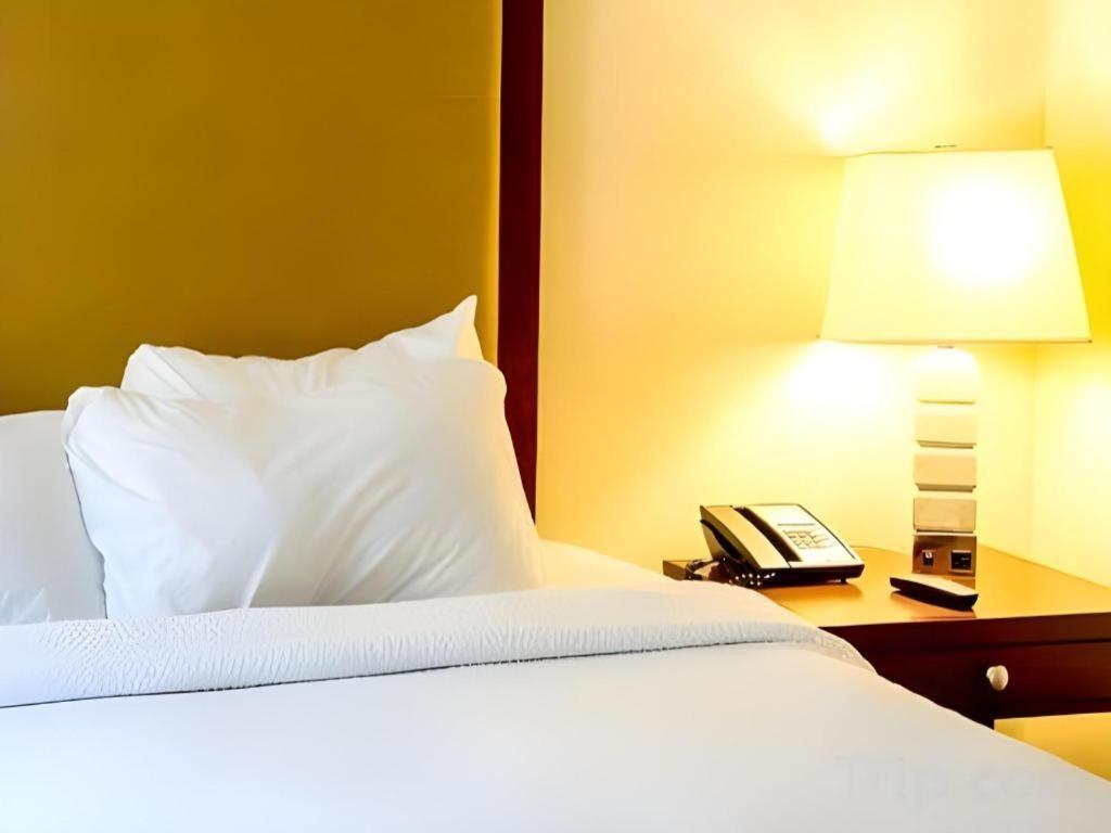 Motel 80 Auckland Eksteriør bilde